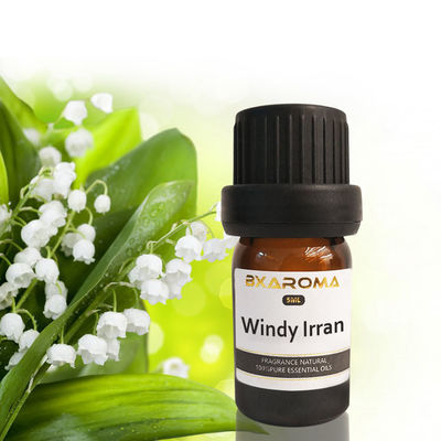 قیمت مناسب عطر خوشبو کننده هوا پایدار خودرو ایلان دیفیوزر اسانس 500 میلی لیتر آنلاین